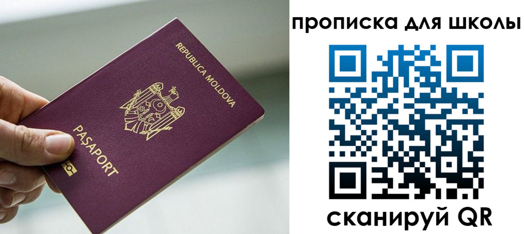 прописка в квартире в Михайловке